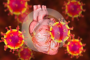 COVID-19 viruses affecting the heart, conceptual 3D illustration