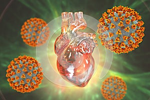 COVID-19 viruses affecting the heart, conceptual 3D illustration