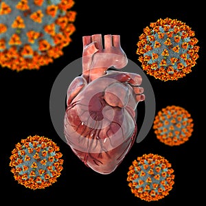 COVID-19 viruses affecting the heart, conceptual 3D illustration