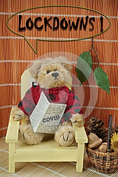 Covid is back. Teddy bear reading newspaper, he is worried about lockdowns