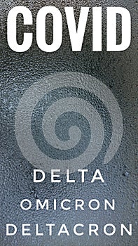 Covid 19 Coronavirus Delta Omicron Variant Deltacron