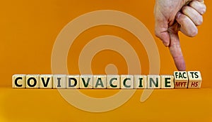 Covid vaccine myths or facts symbol. Hand turns cubes and changes words `covid vaccine myths` to `covid vaccine facts`. Beauti