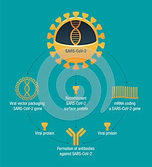 COVID vaccine types. RNA, subunit, viral vector