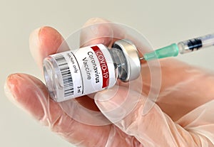 COVID-19 vaccine vial at Pfizer laboratory photo