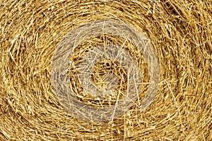 golden sheaves of antique wheat hay photo