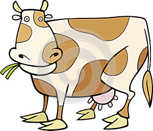 Cow