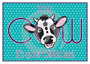 Funny holy Cow birthday card with fun teal and purple colors