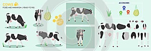 Black and white cow ready to animate with multiple poses accessories. Vector photo