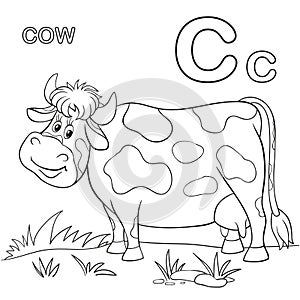 Cow