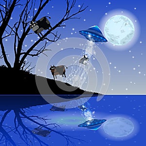 Cow Abduction UFO night moon. Illustration