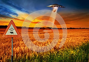 Cow abduction, ufo and spaceship light in countryside for mission, science fiction and fantasy in sky. Spacecraft, field