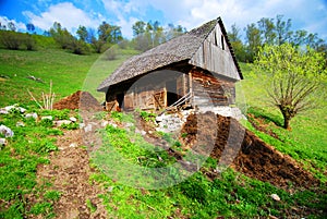 Cow barn in countryside