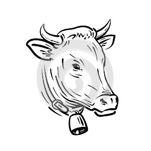 Cow with bell, sketch. Farm animal, vector illustration
