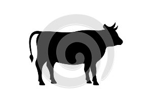 Cow black silhouette. Bull symbol. Beef silhouette. Farm animal icon isolated on white background.