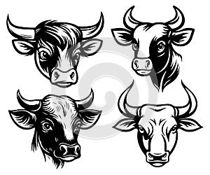 cow bull head symbol illustration