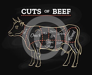 Cow butcher cut beef chalkboard scheme