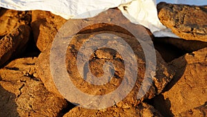 Closeup of Dry manure cakes for religious festivals. Attractive cow manure cakes in a white plastic sec