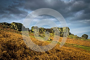 The Cow and Calf rocks. Ilkley moor. Yorkshire photo