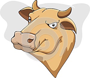 Cow cartoon photo