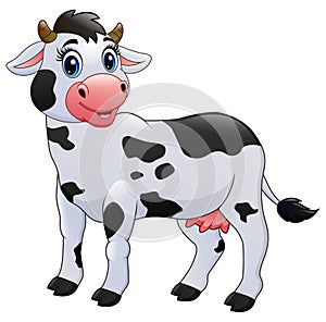Cow cartoon isolated on white background