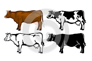 Cow Cattle side view set