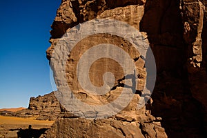 Cow - Cave paintings and petroglyphs at Boumediene ,Tassili nAjjer national park, Algeria