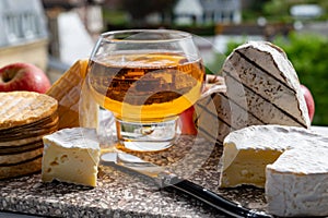 Cow cheeses of Normandy - camembert, livarot, neufchatel, pont l`eveque and glass of apple cider drink with houses of Etretat