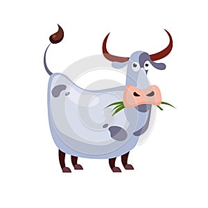 Cow Chewing Grass. Vector Illustration