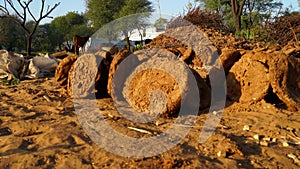 Cow chips closeup. 4k footage of Cow Dung chips for fuel Industry. Cow manure cakes for domestic kitchen use in rural India