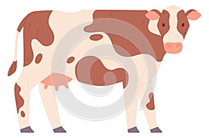 Cow color icon. Farm animal. Cattle symbol