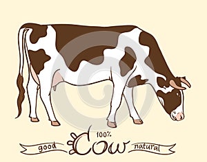 Cow. Cow eating grass. Cow isolated, set of elements