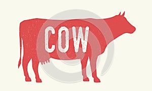 Cow. Cow silhouette with grunge texture. Vintage poster. Typography. Vector illustration.