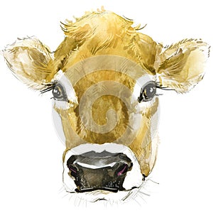 Cow. Cow watercolor illustration. Milking Cow Breed.