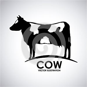 Cow design