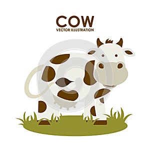 Cow design