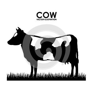 Cow design