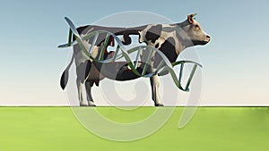GMO Cow