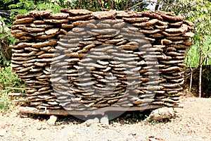 Cow dung cakes popularly from Gujarat