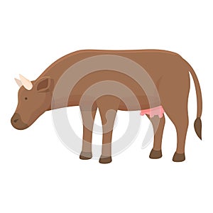 Cow eat icon cartoon vector. Dairy animal