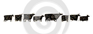 Cow family on meadow, art for your design