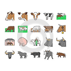 cow farm dairy cattle milk white icons set vector