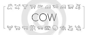 cow farm dairy cattle milk white icons set vector