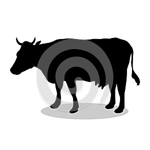 Cow farm mammal black silhouette animal