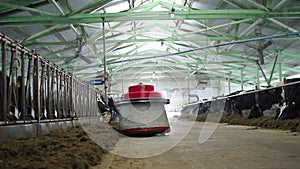 A cow farm with a robotic robot helping to move hay.