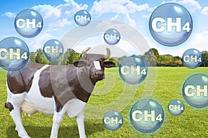 Cow farms produce methane gas which is released into the atmosphere