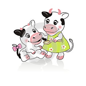 Cow feeds the calf from a spoon