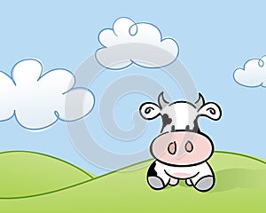 Cow in a Field