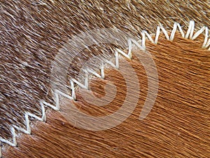 Cow fur texture