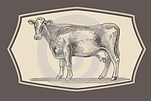 Cow in graphical style. photo
