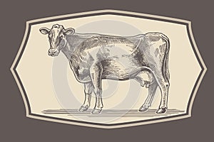 Cow in graphical style.